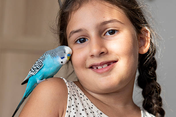 istock little girl playing with her bird 2230372764