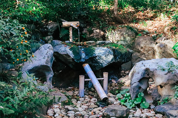 Dec 4 2024 Serene Zen garden showcasing a bamboo water f