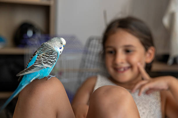 istock little girl playing with her bird 2230372794
