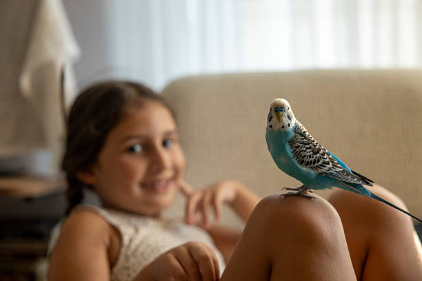istock little girl playing with her bird 2230372800