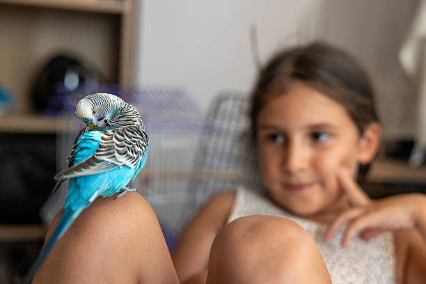 istock little girl playing with her bird 2230372801