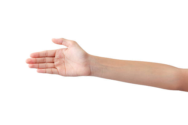 istock young woman's hands in beautiful poses on white background 2230373098