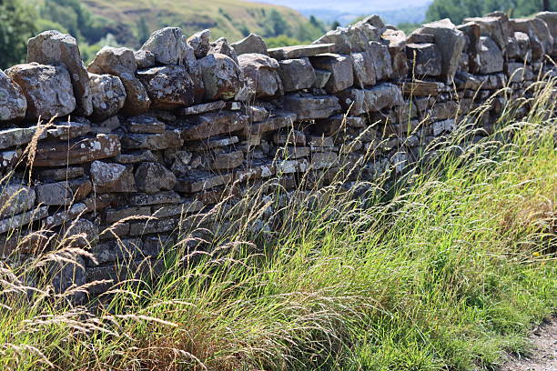 View of stone fence on field in the countryside landscape outdoor