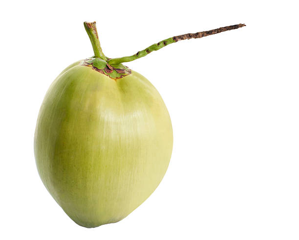 istock Green Coconut , Coconut palm fruit isolated on white background, Clipping path 2230381322