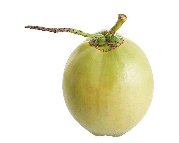 istock Green Coconut , Coconut palm fruit isolated on white background, Clipping path 2230381325