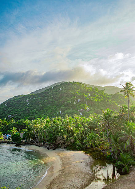 istock Tropical Landscape of Tayrona Park 2230384956
