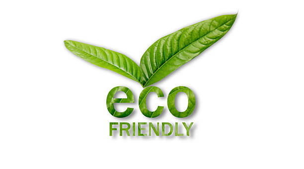 istock Two green leaves shaped like wings or a checkmark above eco FRIENDLY text styled in leaf texture, symbolizing sustainability and environmental care. 2230385410