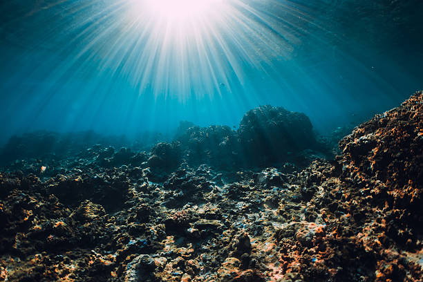 istock Underwater scene with copy space. Tropical sea with corals and sun rays 2230388603
