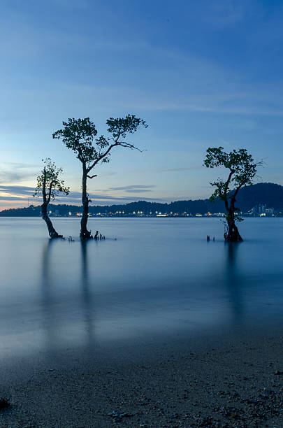 istock A serene and beautiful atmosphere on the beach at dusk 2230390761