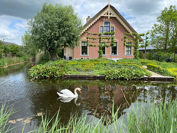 Driebruggen,  Netherlands - May 04, 2025.   Historical Farmhouse view in the Polder Landscape of South Holland.