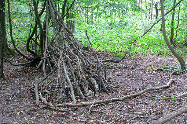istock A stack of old branches leaning to make a small campsite in the woods 2230398306
