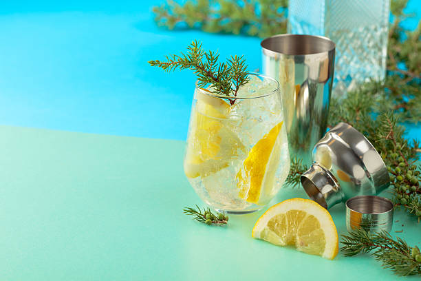 istock Gin and tonic cocktail with crushed ice and lemon slices. 2230404770