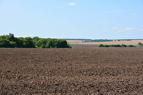 istock Ploughed field under a clear blue sky with trees in the distance 2230411342