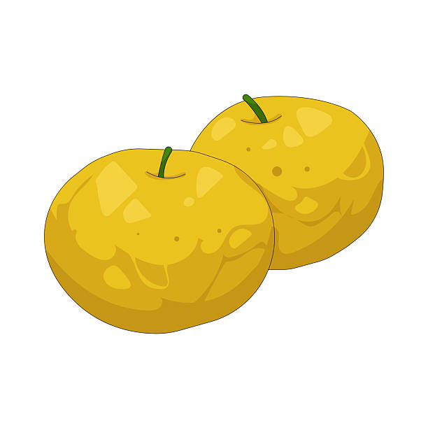 Keyapple 50+ Kei Apple Stock Photos, Pictures & Royalty-Free Images - iStock