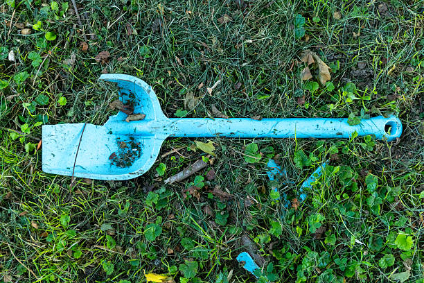 A blue garden spade lies on the green grass, surrounded by small plants and fallen leaves. The setting is a backyard during the late afternoon, showcasing a peaceful gardening atmosphere.