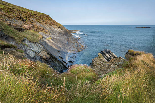 istock Crackington Haven cliff view of coastline 2230426367