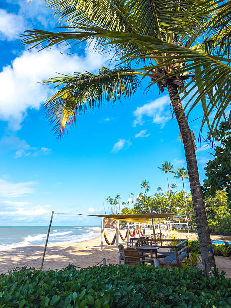istock Colorful Hammocks by the Beach at Barra do Cahy 2230438098