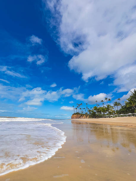 istock Tropical Beach with Palm Trees and Blue Sky 2230438499