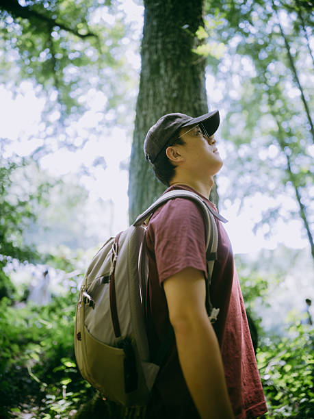 istock Young Asian man hiking in the forest 2230441732