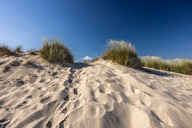 istock Sand Dunes with Grass under Blue Sky in Summer 2230441941