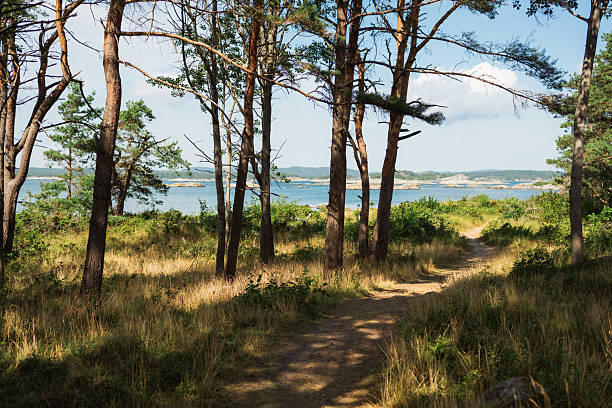 A peaceful forest trail winds through sunlit pine trees toward the rocky coastline and shimmering sea on Jomfruland island, part of the Kragerø archipelago in Southern Norway. This coastal scene captures the essence of Scandinavian summer—untouched nature, fresh sea air, and outdoor exploration. Ideal for themes like travel, hiking, slow living, and nature connection.