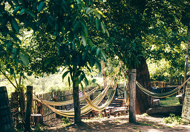 A peaceful rustic garden in Serbia with hammocks tied between trees, wooden benches, and natural shade, offering a relaxing countryside retreat.