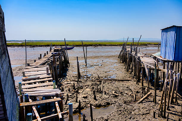Wooden stilt pier with fishing huts and boats at Carrasqueira Palafitic Pier under clear summer sky in Portugal.