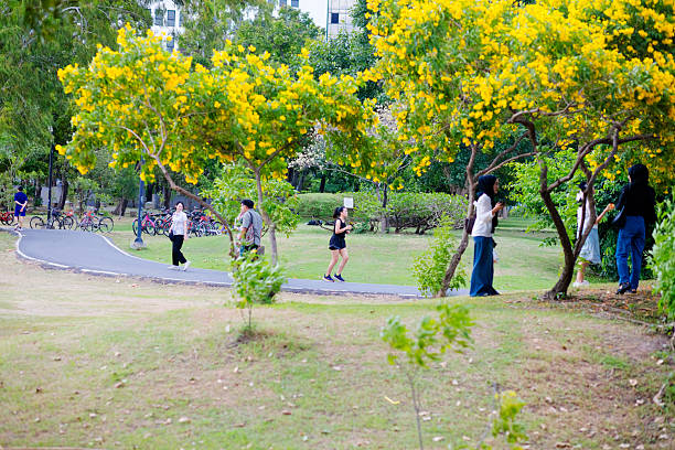 Walking thais people and a running woman on footpath in public park Wachirabenchathat Park  (Rot Fai Park) in Bangkok Chatuchak at late afternoon. Scene is near lake and duck boat pier.  In background are tree in yellow bloom. Focus in on woman in sports clothing who is running in center area. She has in ear headphones. In left area people are walking and in background several bicycles are parked.