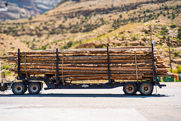 istock Flatbed trailer loaded with stripped timber parked in Western USA during summer 2230461062