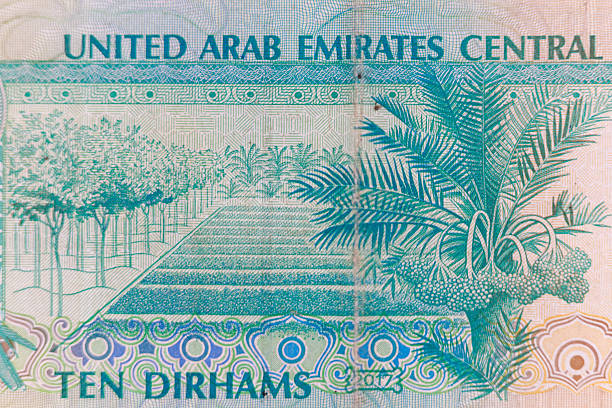 istock Close-up of UAE Ten Dirhams Banknote with Palm Tree and Garden 2230473476