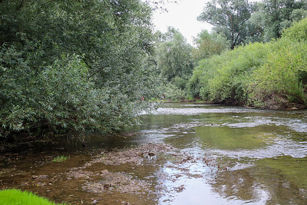 istock A clear, slow-moving forest river flows between overgrown banks. The tranquil atmosphere of this landscape is perfect for conveying a sense of relaxation, freshness, and untouched wilderness. 2230477357