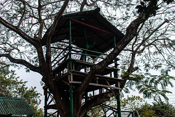 istock Secluded treetop house in forest hill. 2230480072