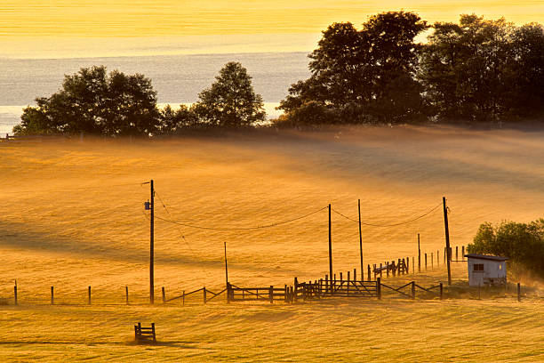 Foggy sunrise on a farm found on the Saanich Peninsula on Vancouver Island, British Columbia
