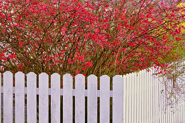 Brown wooden fence, rustic fence separating objects, close-up.