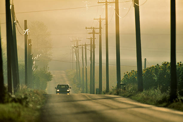 Country road through farmland found on the Saanich Peninsula on Vancouver Island, British Columbia