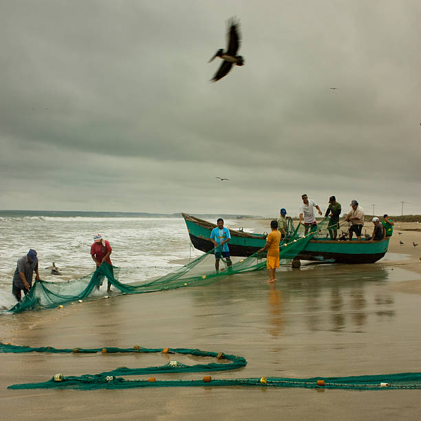 Monteverde, Santa Elena, Ecuador - August 8, 2010: Group of fishermen working together to pull a fishing net along the beach, surrounded by their boats on the beautiful Ecuadorian coast, showcasing traditional coastal life