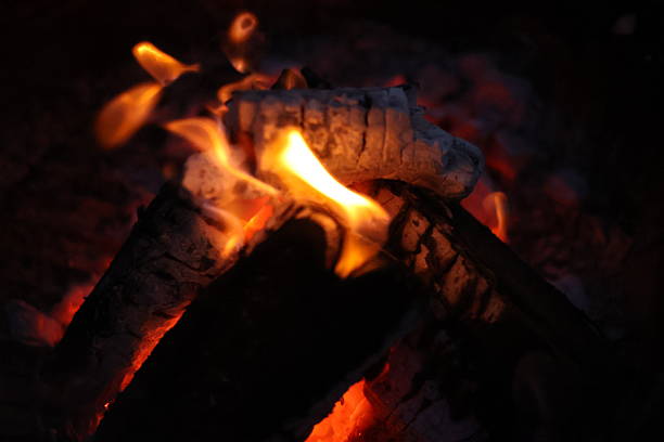 A close-up, low-light photograph capturing the intimate and warm glow of a campfire. The image focuses on a stack of burning wood logs, with bright, dancing yellow and orange flames licking at the textured bark.