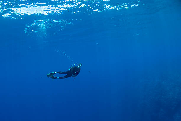 istock Scuba diving in the Pacific Ocean 2230499539