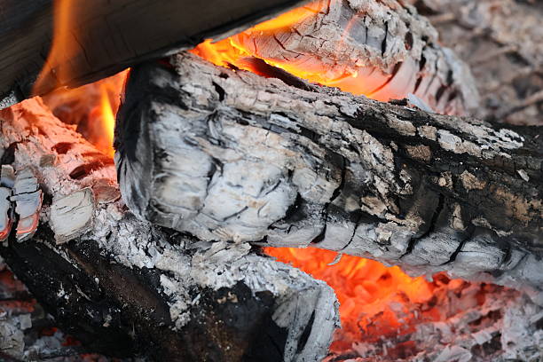 istock Charred Logs with Grey Ash and Flames 2230499581