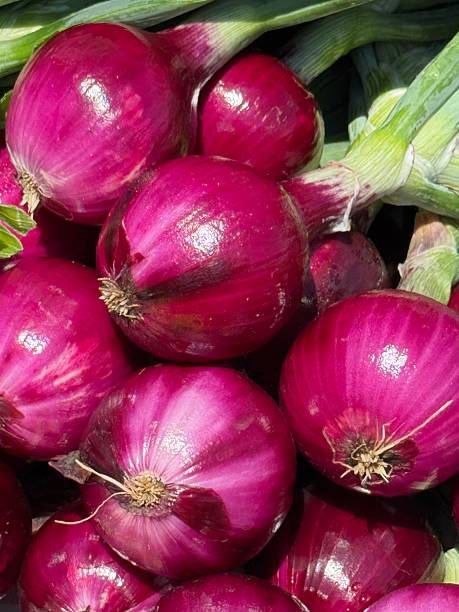 Red Onions