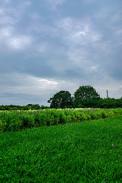 istock Green Grass Field and Flower Garden under Cloudy Sky 2230505387