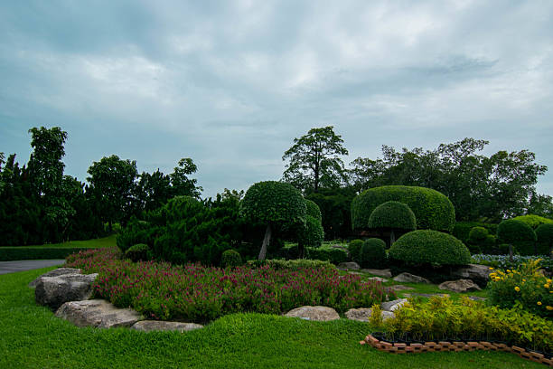 A well-maintained landscaped garden featuring topiary trees, ornamental plants, stones, and a scenic outdoor environment, perfect for relaxation and nature concepts.
