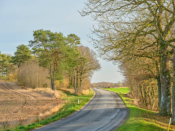 istock Scenic rural road surrounded by trees and open fields under calm sky 2230508666