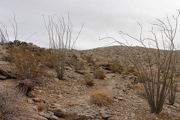 A ethnic women running on a remote dry lake bed in the desert.  http://blog.michaelsvoboda.com/DesertRunnerBanner.JPG