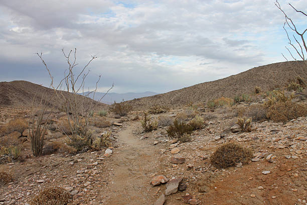 Solo man mountain biking on extreme desert badlands landscape terrain as the sunset light skips across the scenery in golden hues.  Such beautiful nature scenery and outdoor sports and wellness can found while riding the White Ridge trails of central New Mexico, USA.