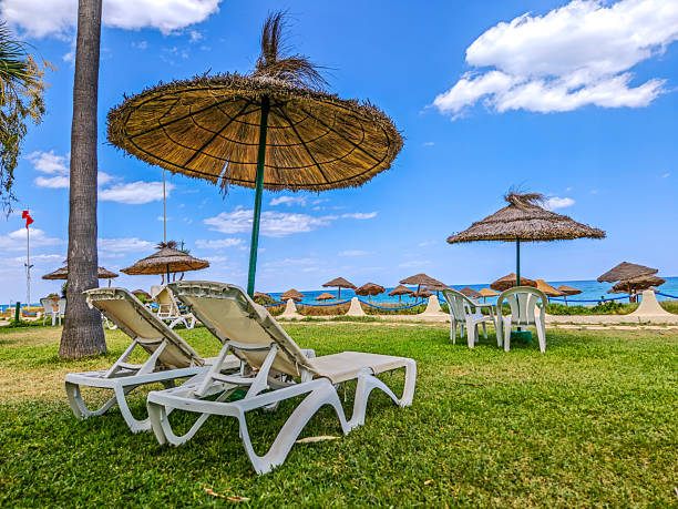 Sun Lounger and palm tree, Little Planet Format