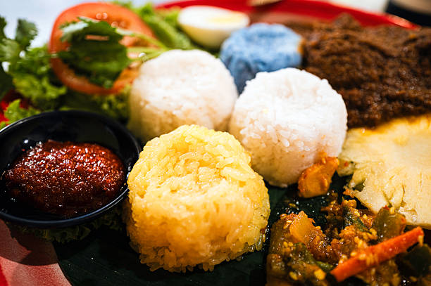 A vibrant and mouthwatering plate of Nasi Lemak, featuring the eye-catching Blue Pea Coconut Rice, a signature Southeast Asian specialty. The rice, infused with butterfly pea flowers, presents a stunning blue hue that contrasts beautifully with the rich, savory Beef Rendang beside it. The Rendang is cooked to perfection, with tender beef coated in a flavorful, aromatic spice blend. Accompanying the dish are traditional elements such as slices of hard-boiled egg, fresh cilantro, and tomato, adding texture and complementing the flavors on the plate. This hearty and visually delightful meal epitomizes the rich culinary traditions of the region.