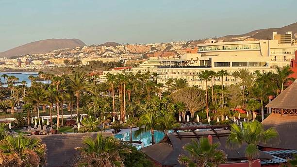 istock A scenic coastal view with palm trees and a stunning resort, creating an idyllic atmosphere 2230536360
