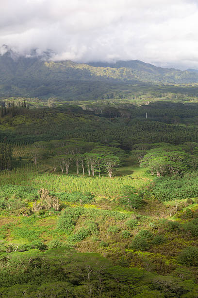 istock Beautiful, scenic view on the Big Island, Hawaii 2230536869