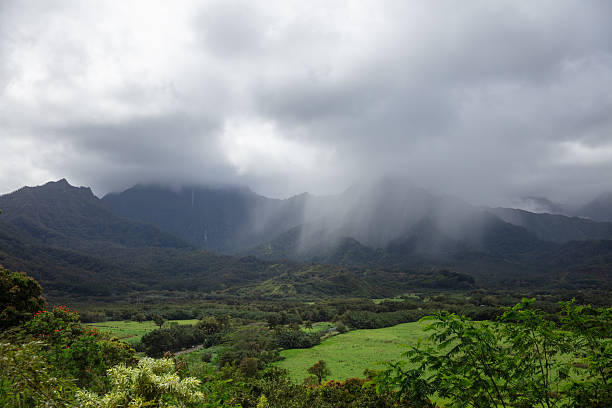 Beautiful, scenic view on the Big Island, Hawaii